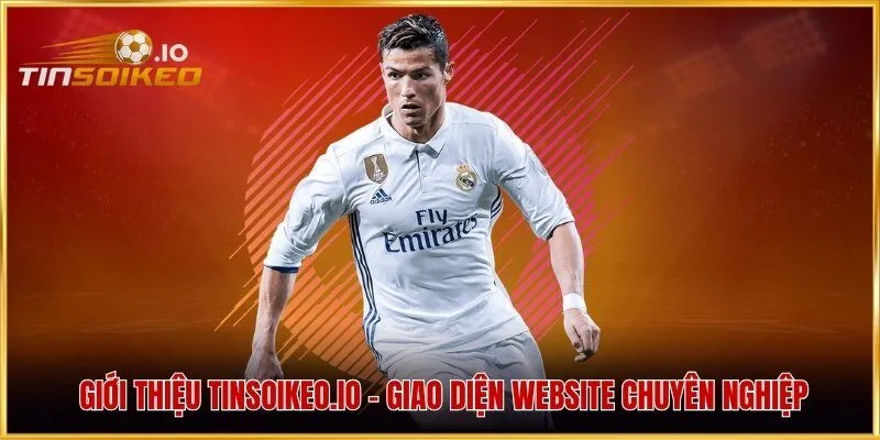 Giới thiệu mikelally.io - Giao diện website chuyên nghiệp